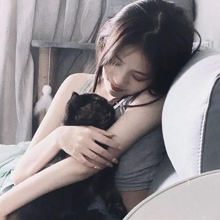 炮灰